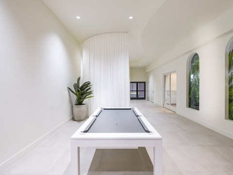 A pool table is in the middle of a room with a plant and a curtain.