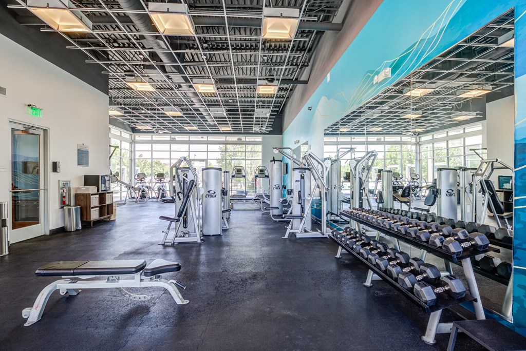 a large fitness room with cardio equipment and a mural on the wall