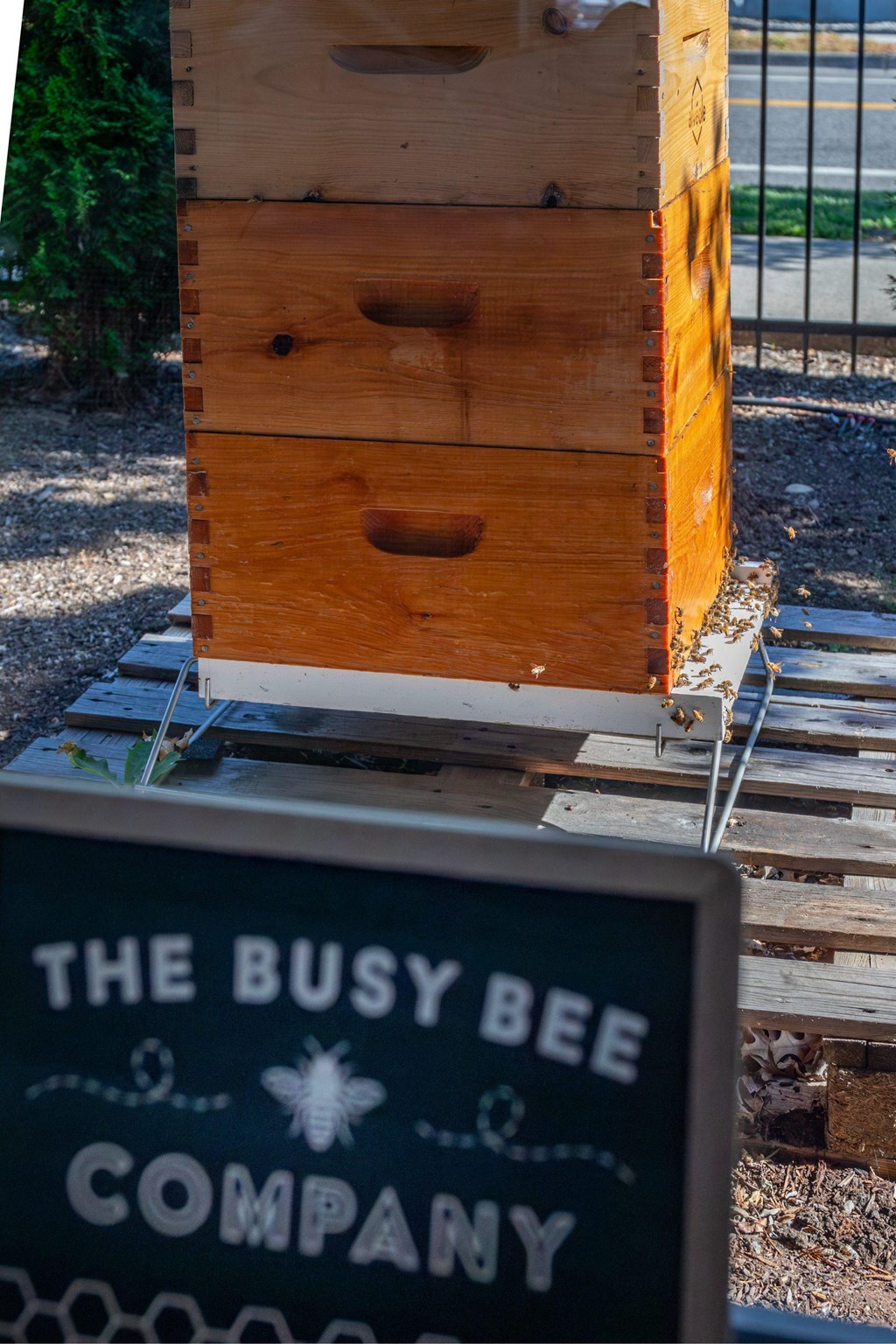 the busy bee company sign in front of a beehive