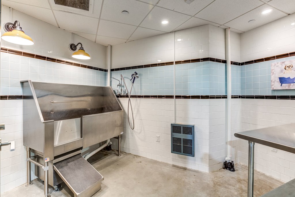 a large stainless steel pet wash station