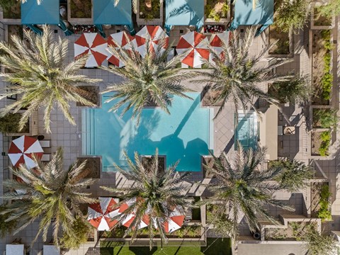A pool surrounded by palm trees and umbrellas.