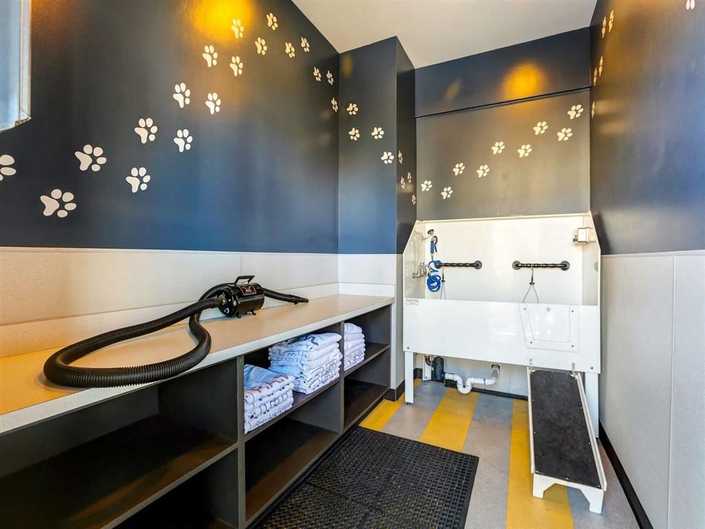 Pet Wash Center at Pearl DTC, Colorado