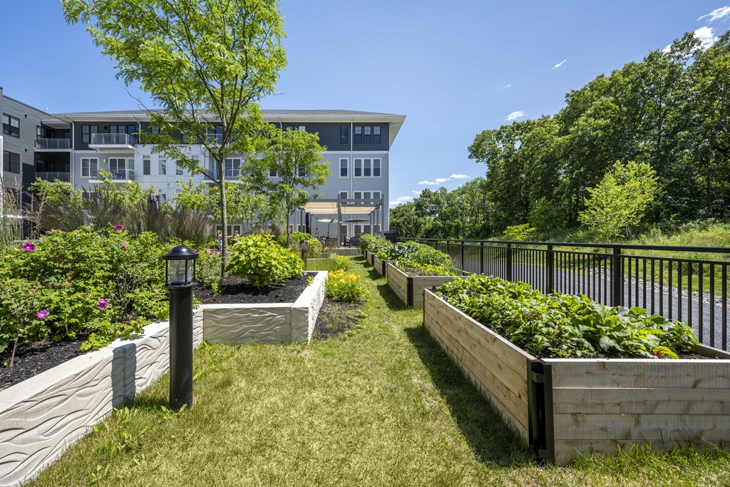a raised garden on a sunny day with a building in the background