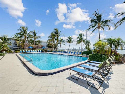 a resort style pool with chaise lounge chairs and palm trees