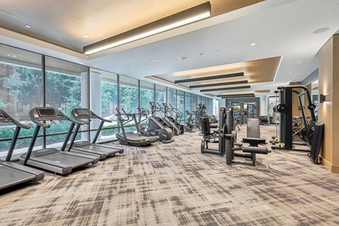 a gym with cardio equipment and large windows