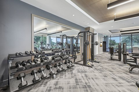 the gym is equipped with weights and cardio equipment