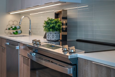 A kitchen counter with a sink and a plant on it.