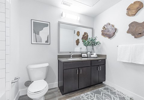 a bathroom with a toilet sink and mirror at Rockvue, Broomfield