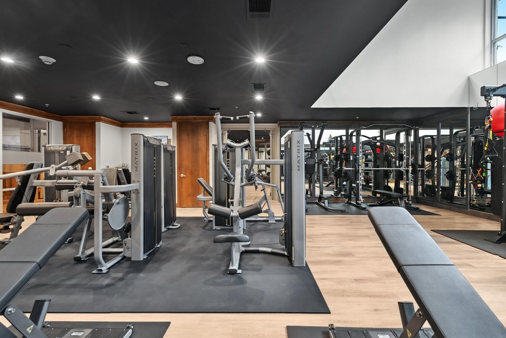 A gym with a variety of equipment including a bench, weights, and a squat rack.
