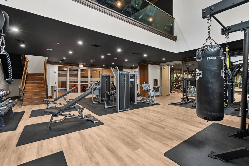 A gym with a variety of equipment including a punching bag.