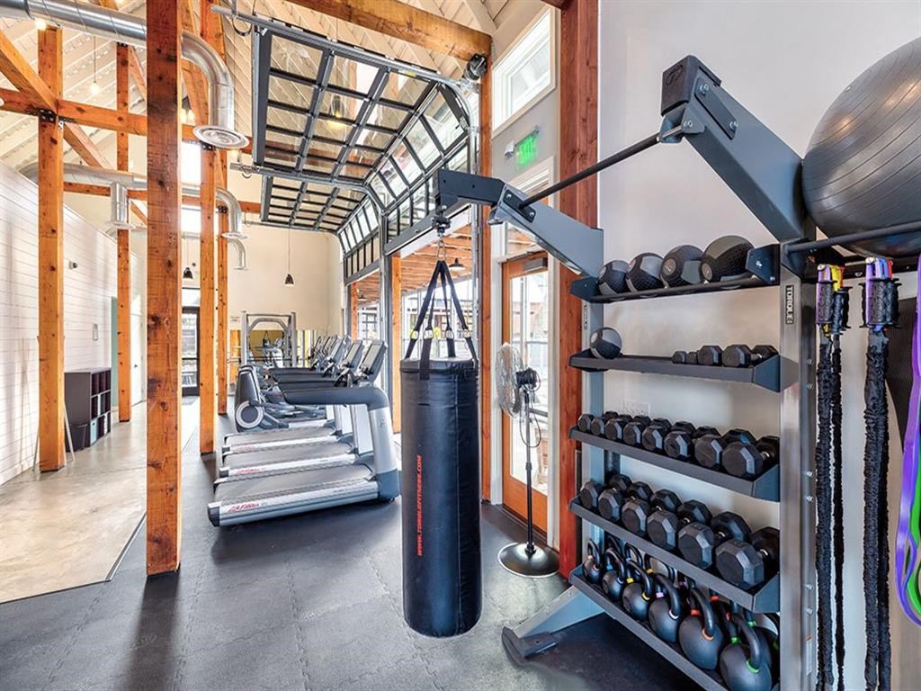 a gym with weights and a punching bag on a rack