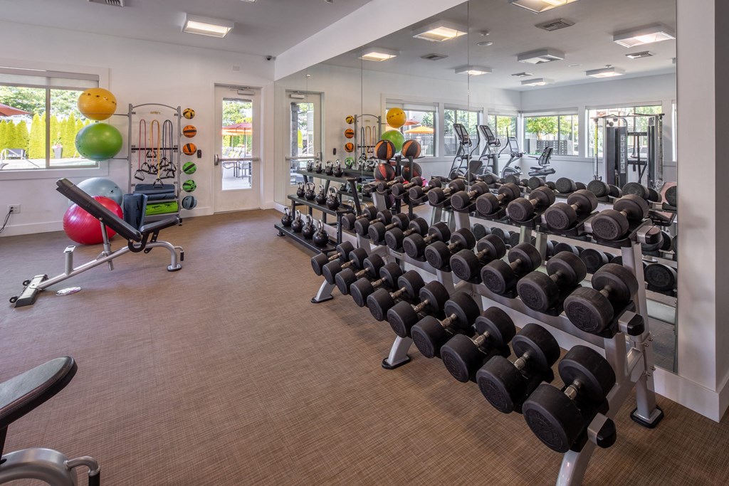 the gym at the preserve at polo towers has weights and other exercise equipment