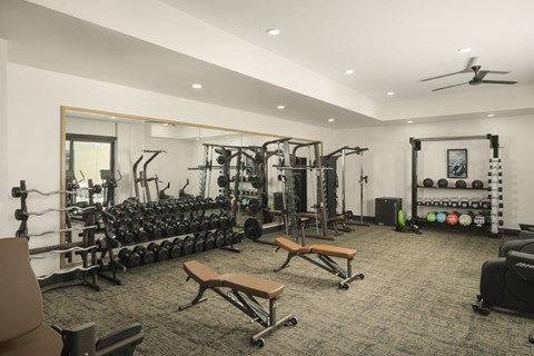 A spacious gym with a variety of equipment including dumbbells, weight plates, and a bench.