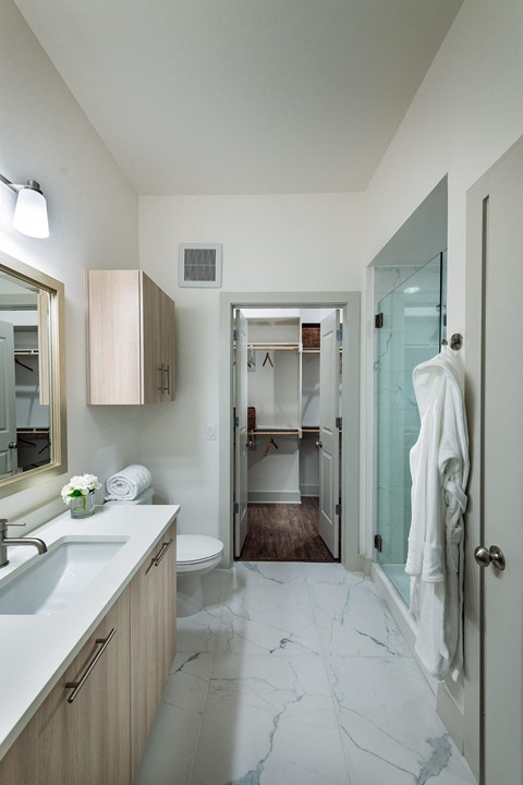 a bathroom with a shower and a sink and a toilet