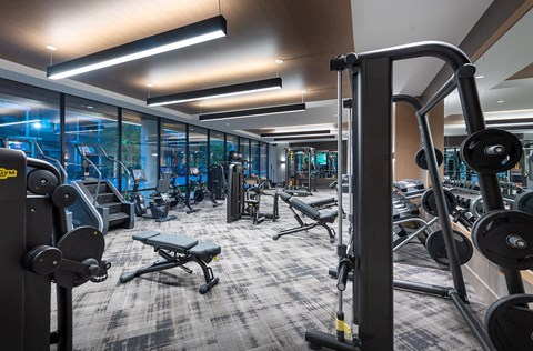 a gym with weights and cardio equipment in a building with glass walls