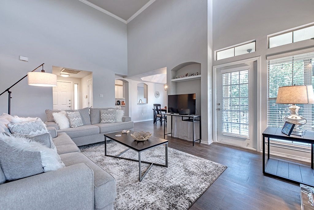 A modern living room with a grey sofa and a black coffee table.