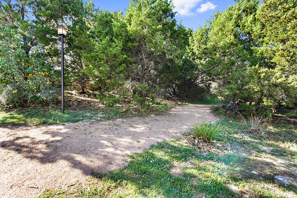 a dirt road in the middle of the woods