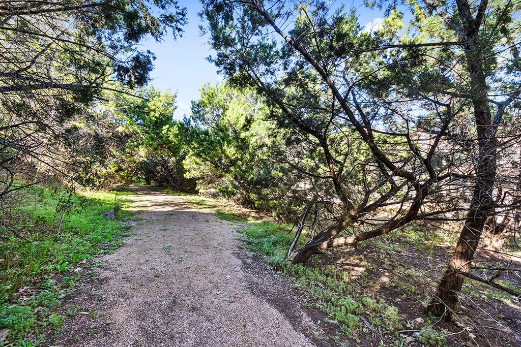 a dirt trail in the woods with trees