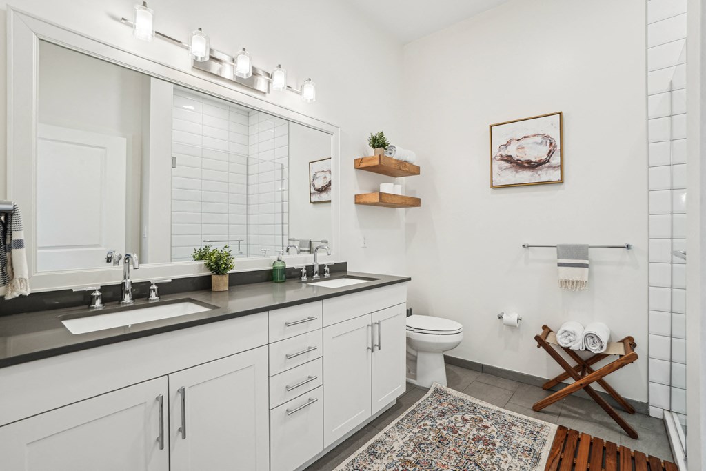 a bathroom with a sink and a mirror and a toilet
