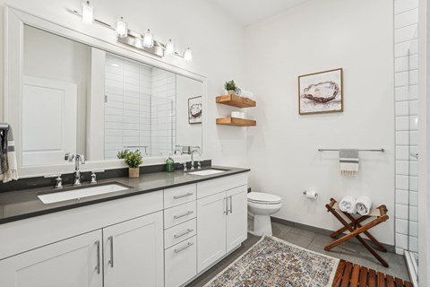 a bathroom with a sink and a mirror and a toilet