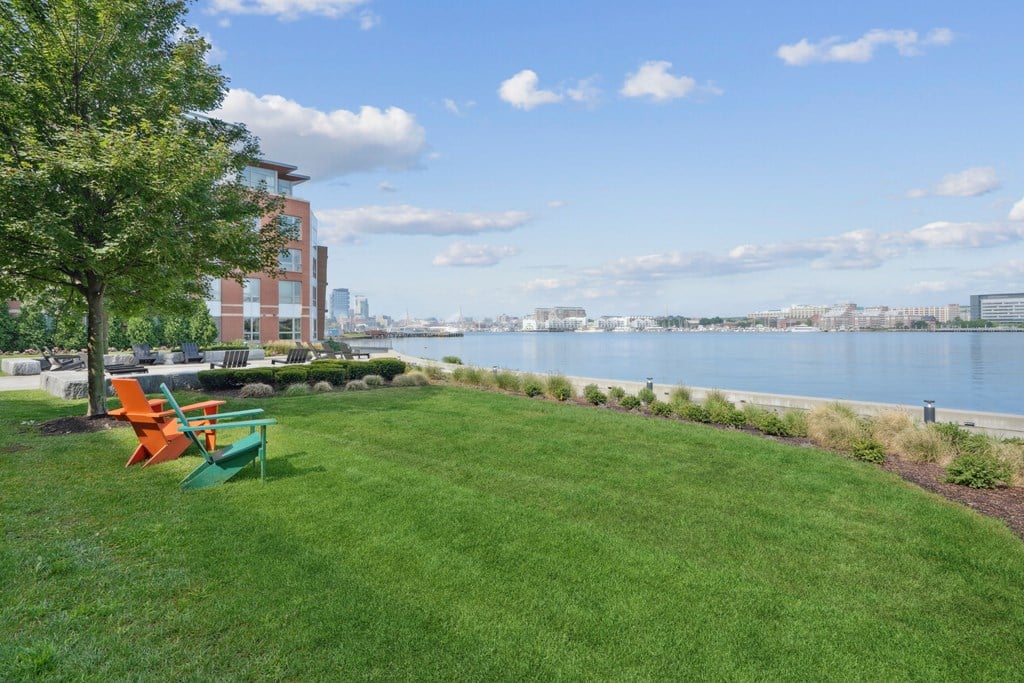 A park with a bench and a tree.