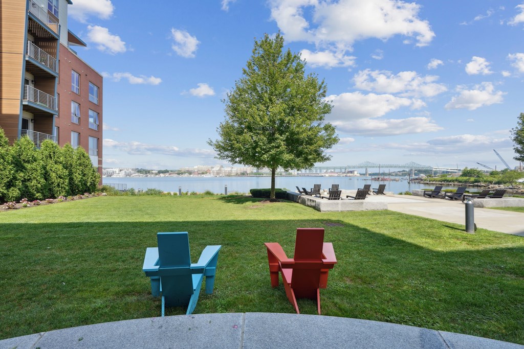 Two chairs, one blue and one red, are on a lawn in front of a tree.