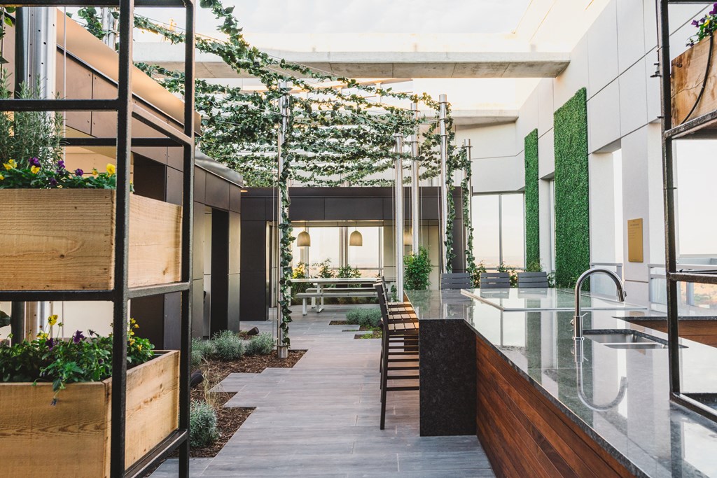 a large open space with a long table and chairs and a long counter with a sink and