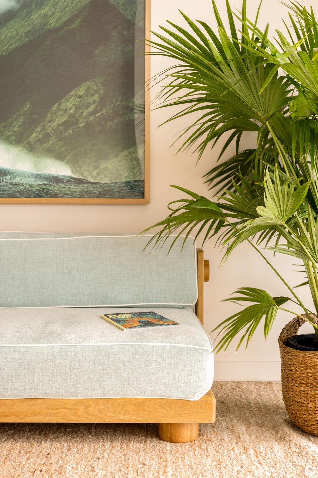 A green plant sits on a carpet in front of a sofa and a framed picture.
