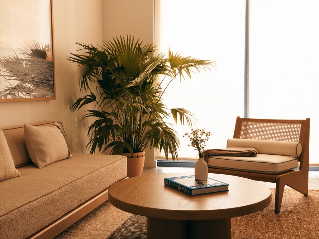 A living room with a couch, chair, and potted plants.