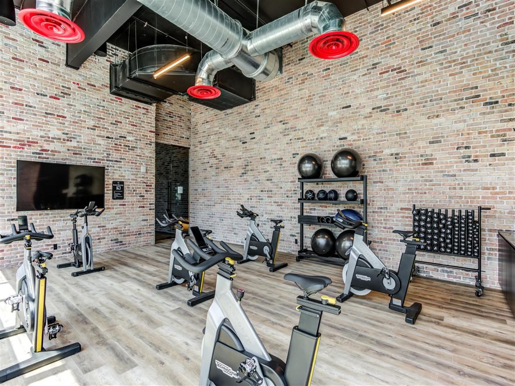 the gym is equipped with a variety of weights and cardio machines