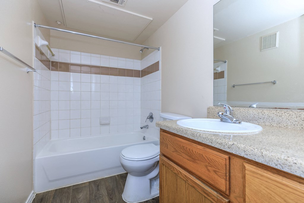 a bathroom with a sink and a toilet and a bath tub