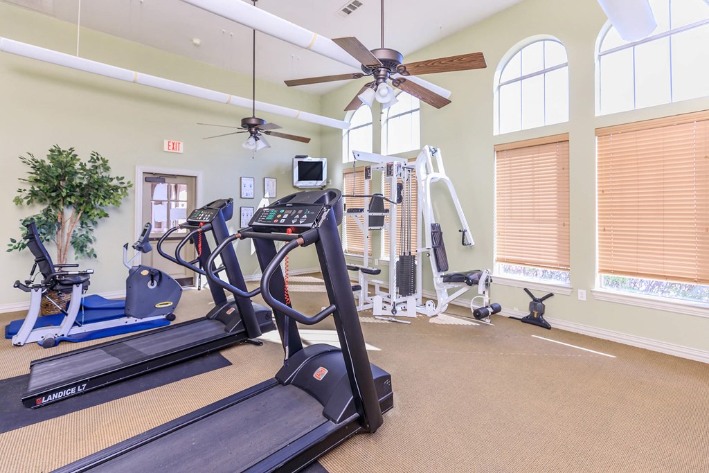 the gym is equipped with treadmills and other exercise equipment
