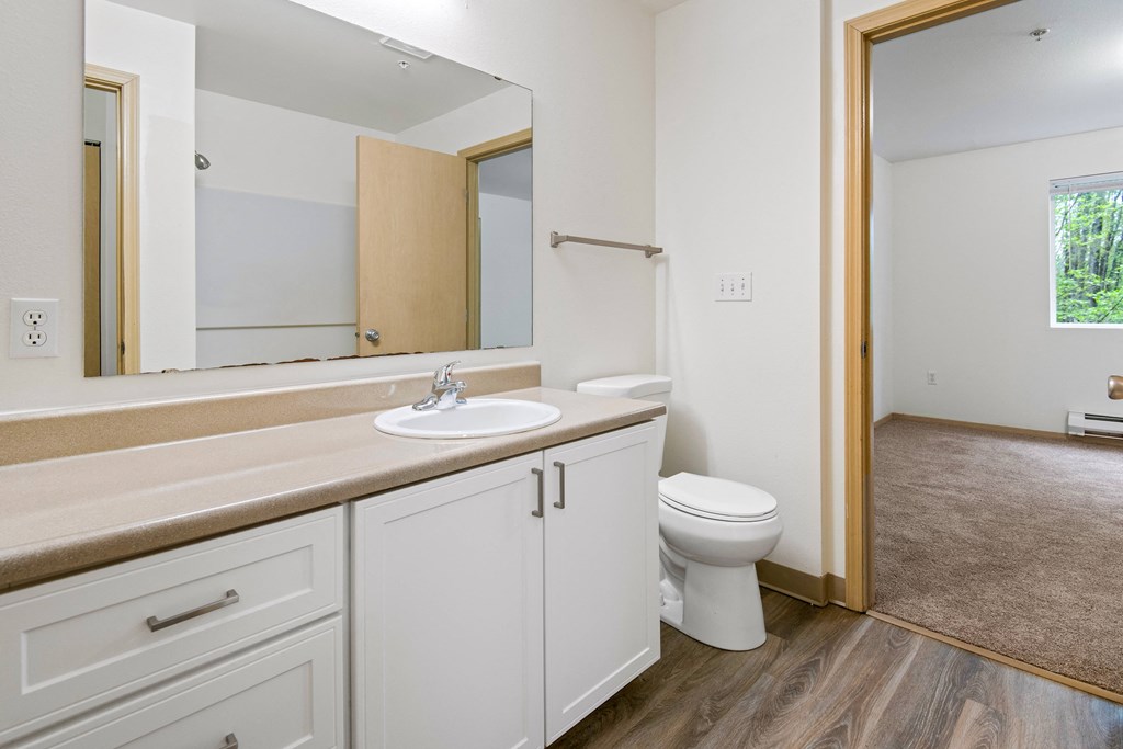 a bathroom with a toilet and a sink and a large mirror