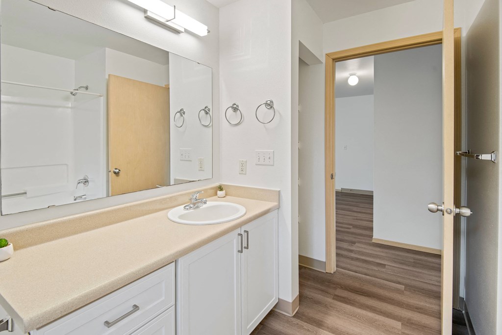a bathroom with a sink and a mirror and a shower