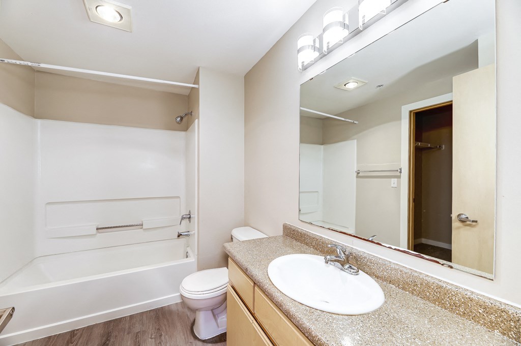 a bathroom with a sink and a toilet and a mirror