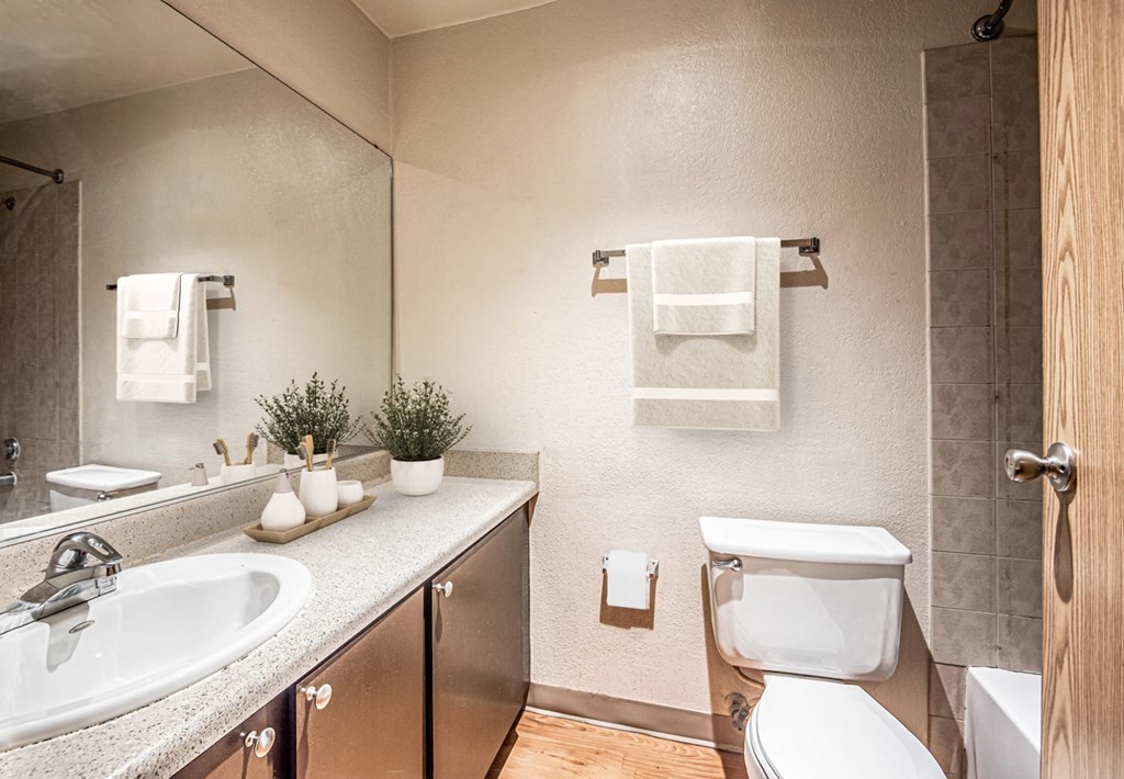 a bathroom with a sink toilet and a mirror