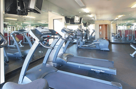 the gym is equipped with cardio equipment and weights