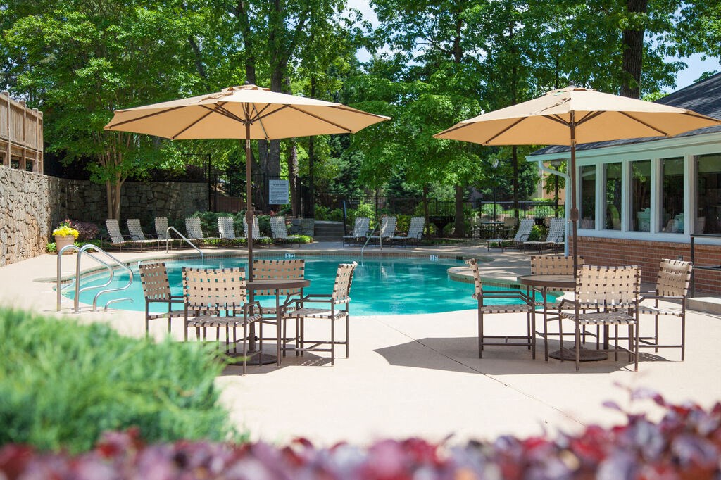 Pool at Elme Cumberland Apartments, Smyrna, GA