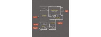 1 bedroom 1 bathroom Floor plan F at The Maxwell Apartments, Arlington