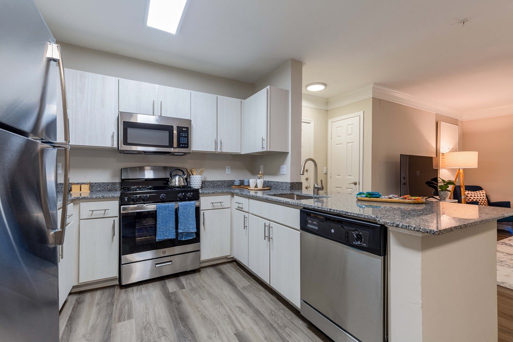 Renovated kitchen with stainless steel appliances and granite counter tops at Elme Dulles, Herndon, VA