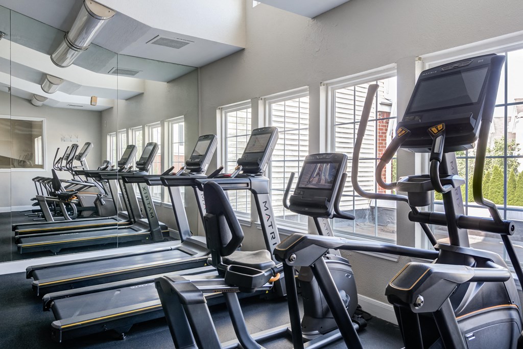 a gym with rows of cardio equipment and windows