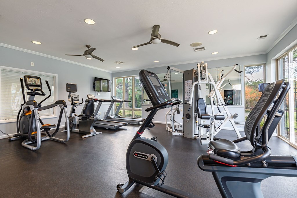 the gym has plenty of cardio equipment and windows