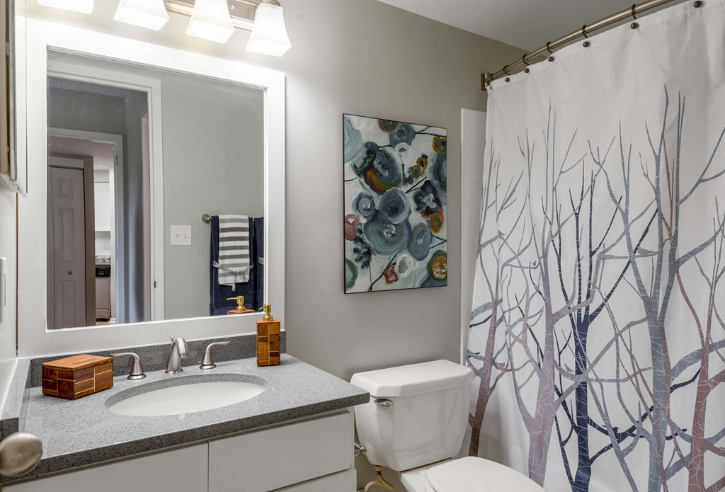 a bathroom with a sink and a mirror and a shower curtain