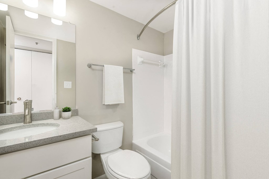 Renovated bathroom with updated vanity and shower at Cascade at Landmark, Alexandria, VA, 22304