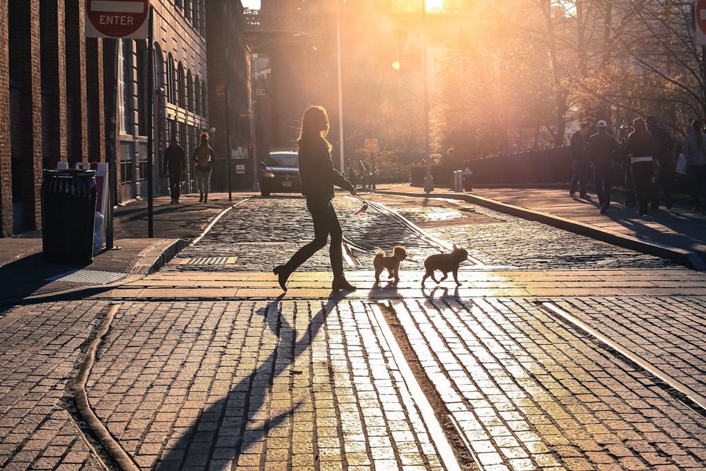 Walking On The Street at Clayborne Apartments, Virginia, 22314