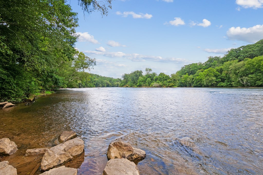 A river flows through a forested area with rocks in the foreground.