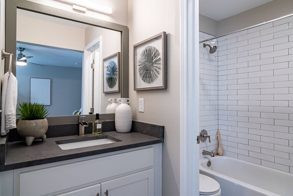 Renovated bathroom with updated vanity and shower at Elme Sandy Springs Apartments, Atlanta, GA, 30350