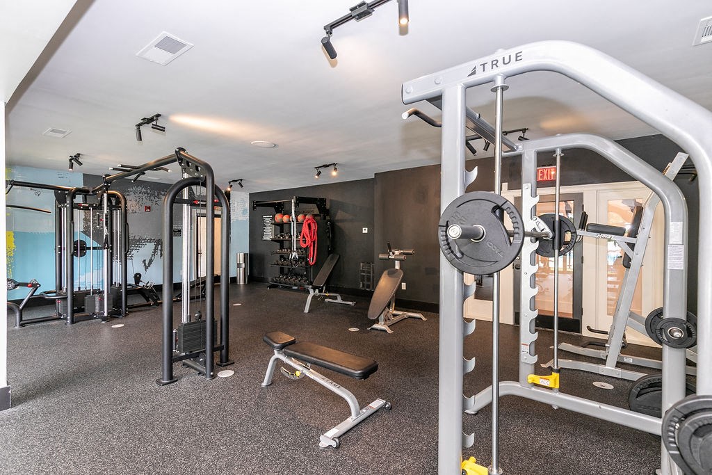 Gym equippment at Elme Marietta Apartments, Marietta, Georgia