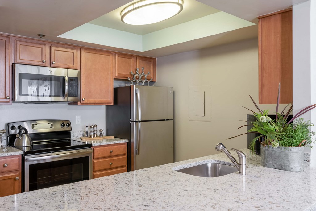 a kitchen with stainless steel appliances and granite counter tops
