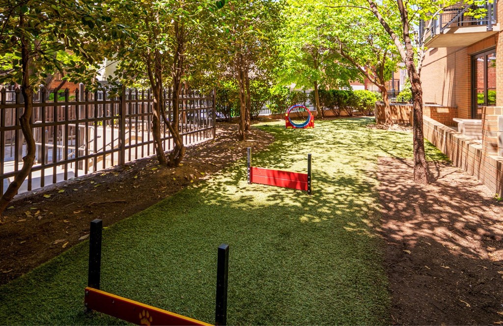 Dog Park at Yale West, Washington